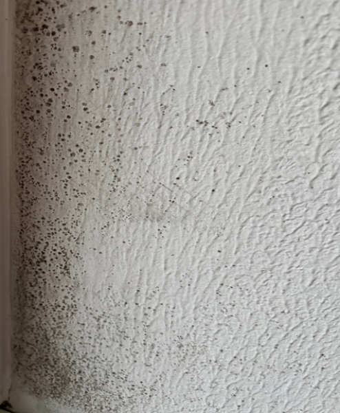 Tinkamas patalpų vėdinimas ir pelėsio prevencija – ką svarbu žinoti?